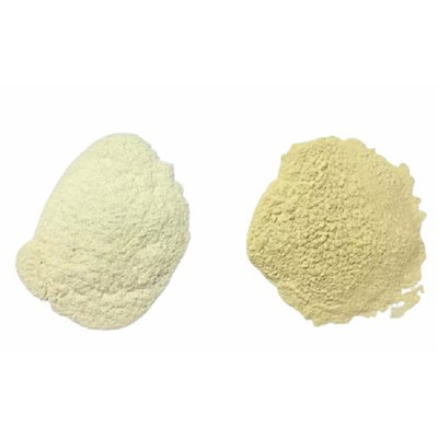 Top 10 nhà sản xuất L-Amino ở Trung Quốc 2025